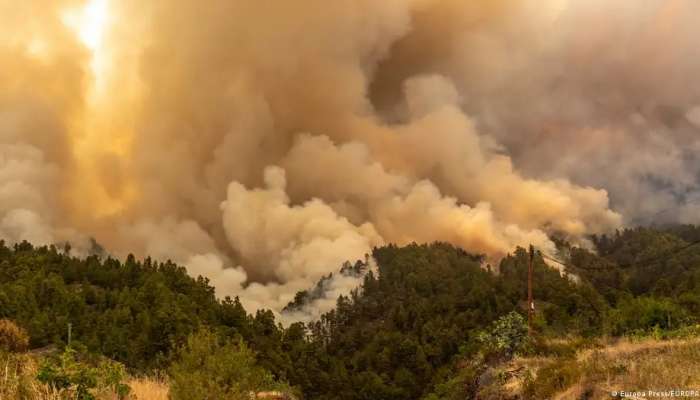 Spain heat wave: 2,000 to evacuate over La Palma wildfire