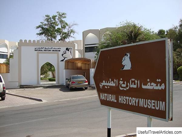 Hijri New Year: Natural History Museum to open its doors to visitors