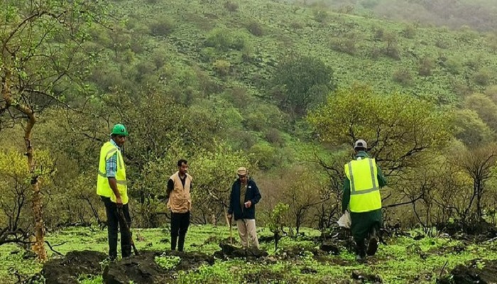 Environment Authority carries out campaign to plant one million seeds in Dhofar