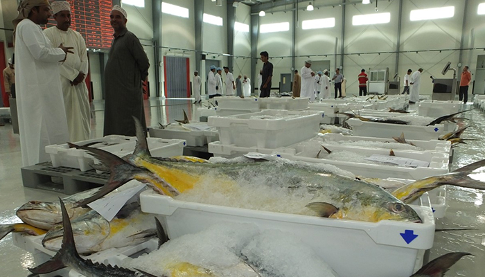 Value of fish landed in Oman reaches OMR195.8 million