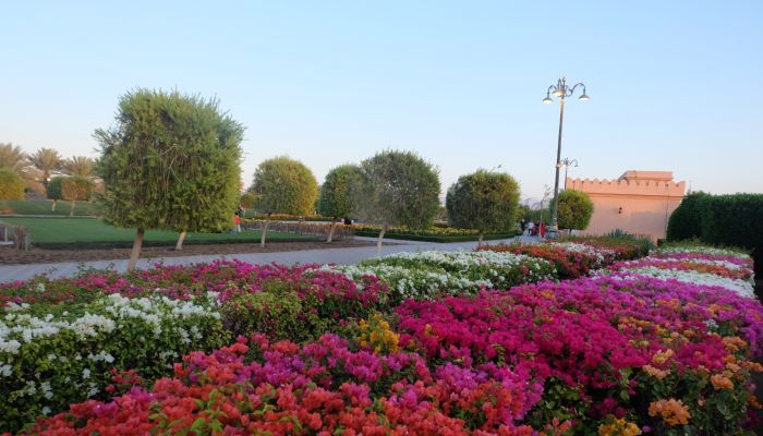 لتلطيف درجات الحرارة... بلدية مسقط تنفذ مشروع لتقليم الأشجار والنباتات (صور)