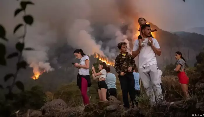 Tenerife: Wildfire slows down, no new evacuations