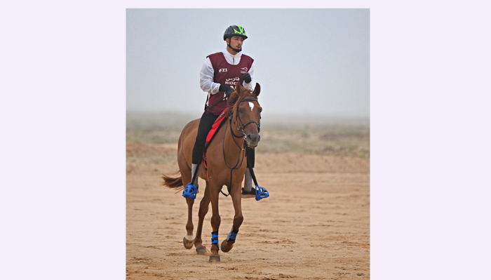 100-kilometre endurance horse race organized in Salalah