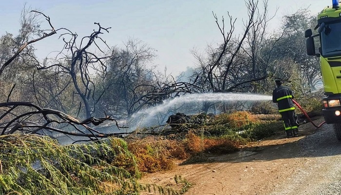 CDAA puts out fire in South Al Batinah