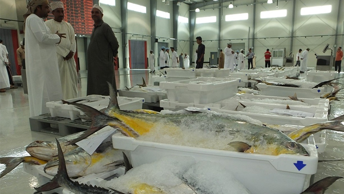 Oman exports fish worth OMR140 million in 2022