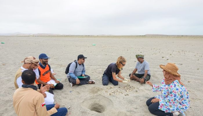 هيئة البيئة تواصل أعمال دراسة نسبة نجاح أعشاش سلاحف الريماني بمصيرة