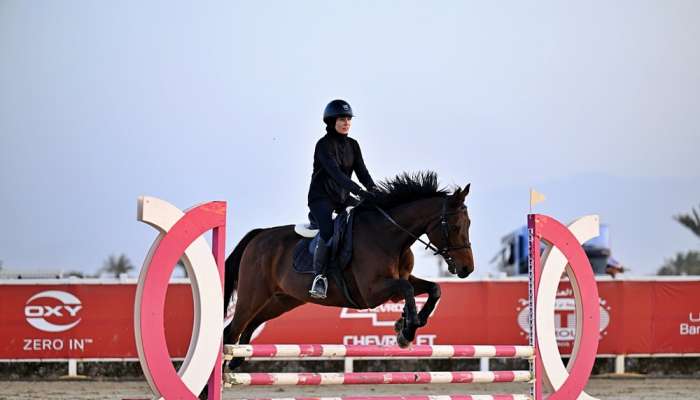 Training for show jumping contests starts