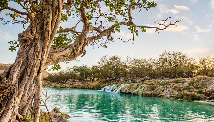 Where Nature’s Beauty Unfolds – Discovering Alila Hinu Bay in Salalah, Oman