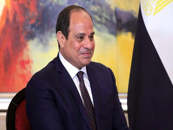 Egypt's President Abdel Fattah El-Sisi to run for third term in December polls