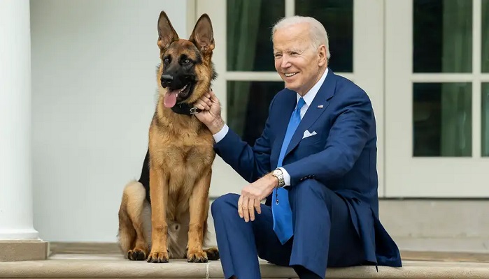 US: Biden's dog removed from White House for biting staff