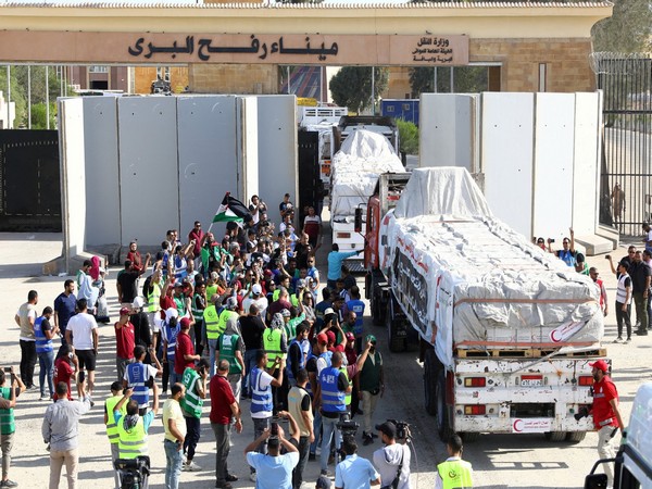 17 more trucks carrying aid enter Gaza from Rafah crossing