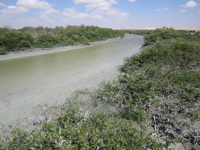 Al Wusta natural reserve contains multiple ecosystems with rare biodiversity