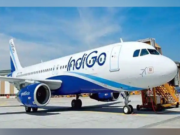 IndiGo expects about 35 aircraft grounded in Q1-2024 over engine issues