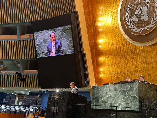 India reiterates call for revitalisation of General Assembly at UN summit