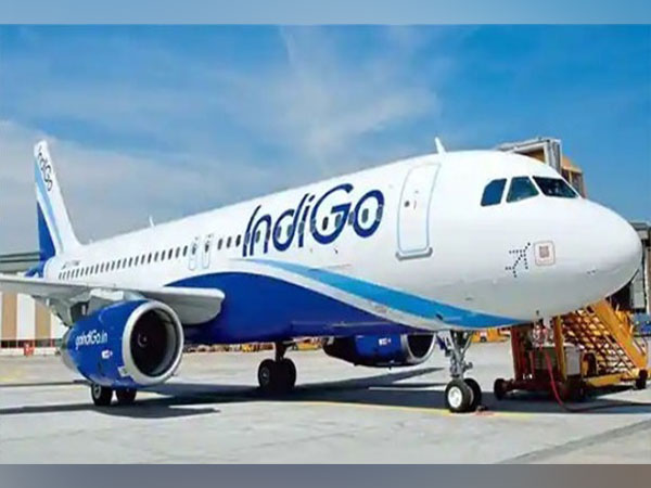 IndiGo flight diverted to Karachi following 'medical emergency'; passenger dies