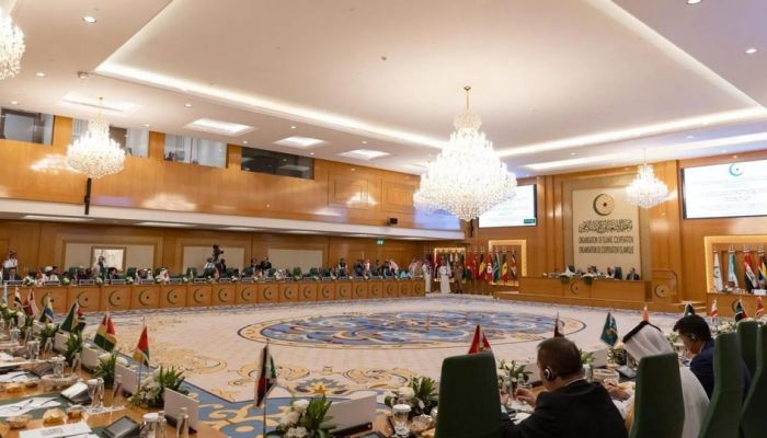 منظمة التعاون الإسلامي تعلن رفضها للتهجير القسري والتطهير العرقي لأبناء الشعب الفلسطيني