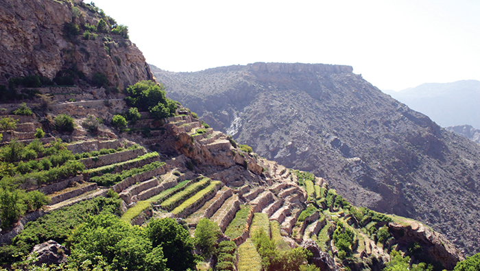 UAE National Day holidays: Oman makes merry