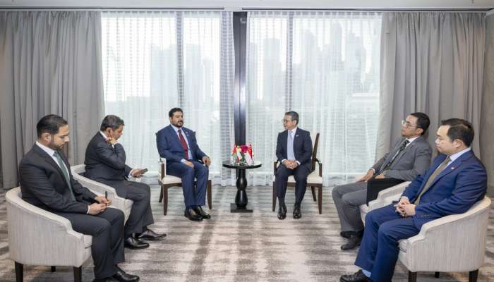 Ministers of Commerce, Energy meet with Singaporean officials