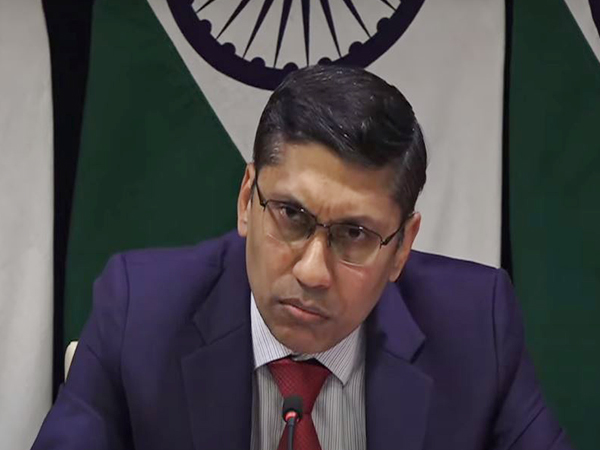 "India hopes Canada takes action against extremist elements...": MEA