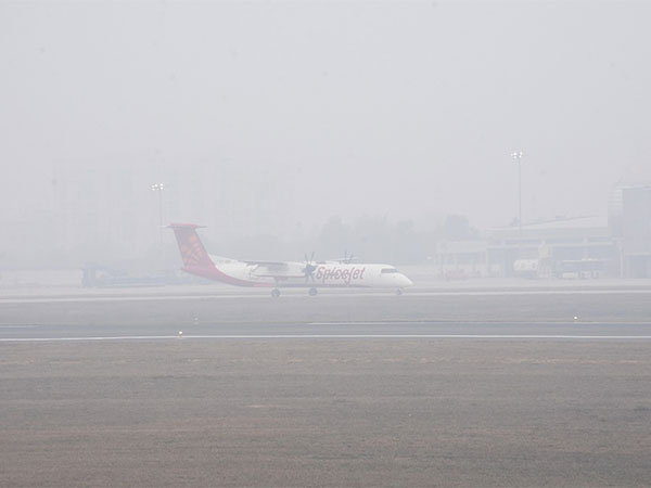 Thick fog blankets Delhi; airport area battling zero visibility