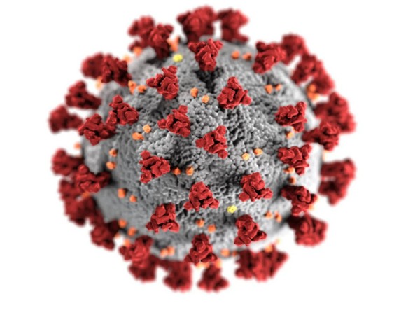 971 cases of Covid sub-variant JN.1 reported from 16 states in India