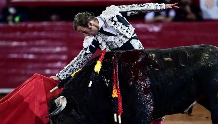 Protests as bullfighting resumes in Mexico City