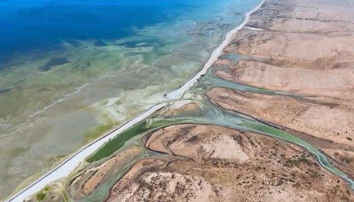 Al Jazir: A splendid getaway for fishing enthusiasts and nature lovers