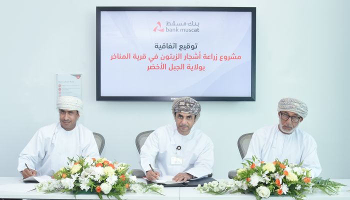 Bank Muscat partners in planting 300 Olive trees in Jabal Al Akhdhar