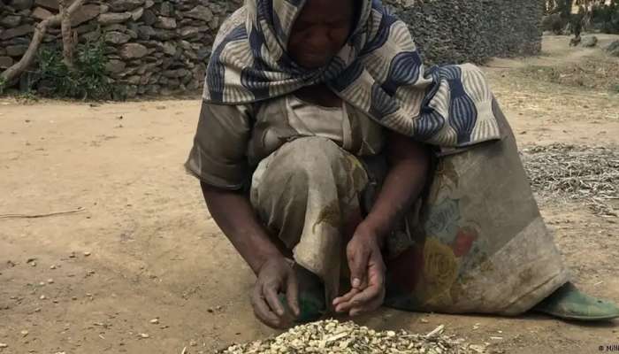 Hunger crisis in Ethiopia threatens to eclipse prior famines