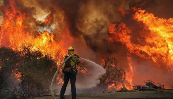 112 قتيلًا وعشرات المفقودين جراء حرائق الغابات في تشيلي