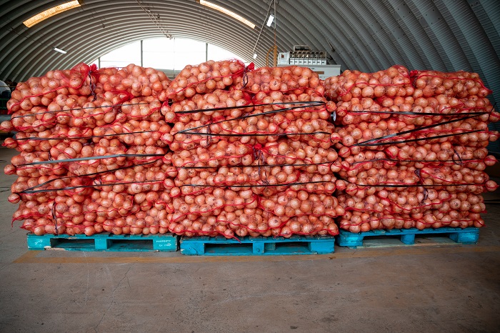 Rising onion prices prompt consumption cut in Oman
