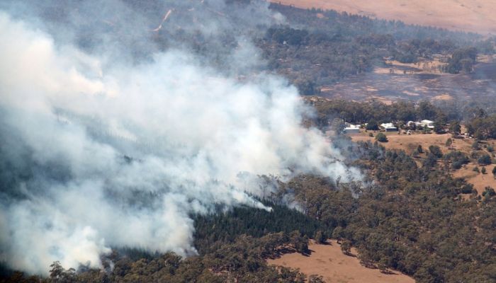 حرائق الغابات في أستراليا تدمر عددًا من المنازل والسلطات تحذر من الحرارة الشديدة