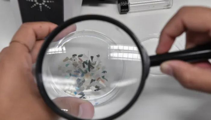 اكتشاف جزيئات بلاستيكية سامة في المشيمة البشرية