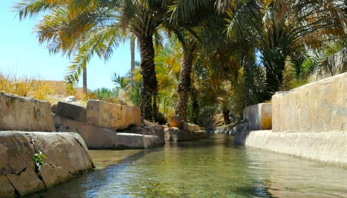 UNESCO Aflaj Studies Chair implements projects to promote Omani falaj system