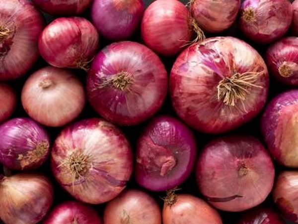 India extends ban on onion exports until further orders