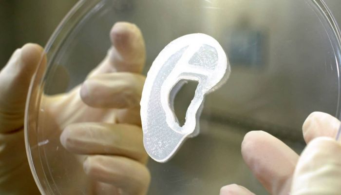 تخليق أذن بشرية صناعية باستخدام تقنيات الطباعة المجسمة