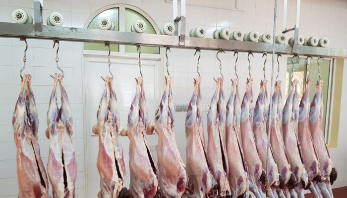 مسالخ مسندم تستعد لاستقبال عيد الفطر المبارك .. والبلدية تضاعف أوقات العمل