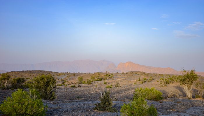 سلطنة عمان تحتفل باليوم العالمي لكوكب الارض