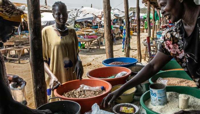 7mn South Sudanese suffer high levels of food insecurity: UN