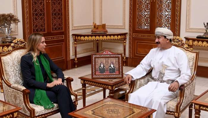 Royal Office Minister receives French, Austrian ambassadors