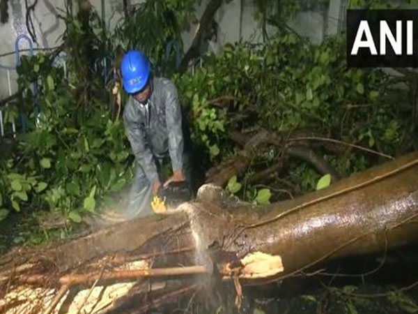 India: Cyclone Remal makes landfall, authorities engaged in clearing uprooted trees in Kolkata amid rainfall
