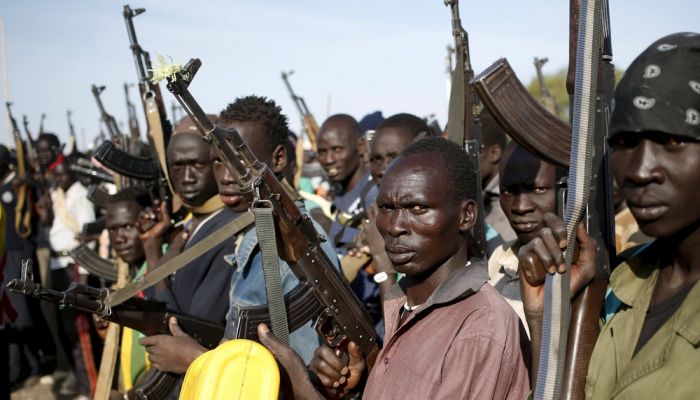 تمديد حظر الأسلحة على جنوب السودان لمدة عام