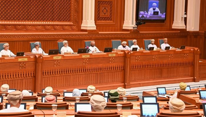 مجلس الدولة يناقش مشروع قانون الإعلام
