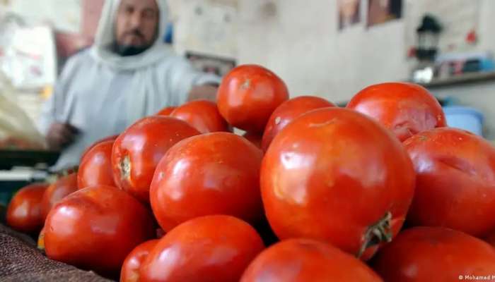 'Heatflation' in Middle East: How high will food prices go?