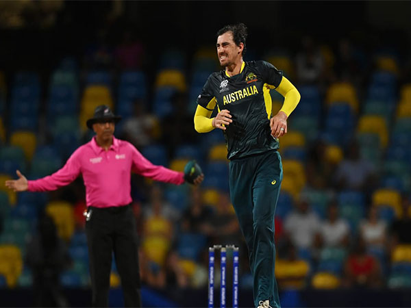 Australia receive major boost, Marsh confirms Starc's availability ahead of England clash