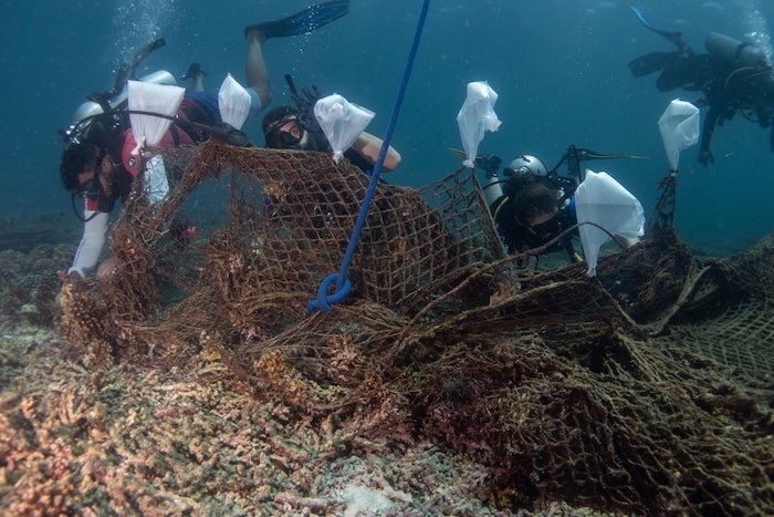 World Ocean Day: Underwater clean-up at Dimaniyat Islands Nature Reserve