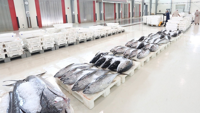 Value of fish output in Oman tops OMR147mn