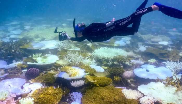 UNESCO says Great Barrier Reef under 'serious threat'