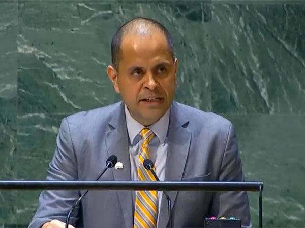 Debate on annual report has become "ritual without much substance": India at UNGA