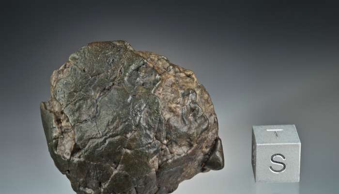 Rare meteorite found in Oman